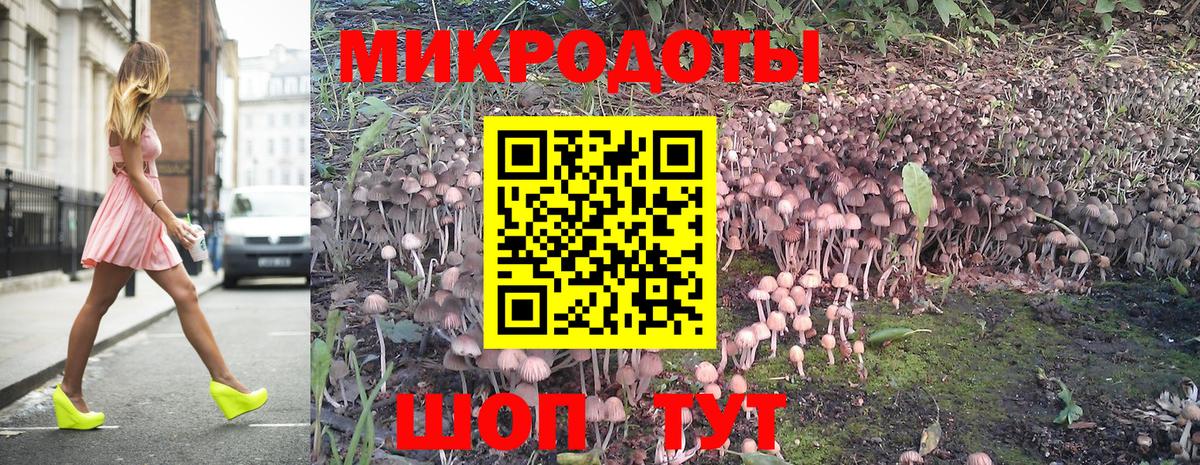 Елабуга  Галлюциногенные грибы Psilocybine cubensis  Вход с VPN 